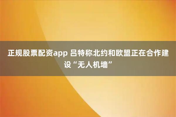 正规股票配资app 吕特称北约和欧盟正在合作建设“无人机墙”