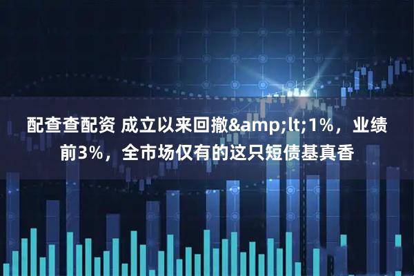 配查查配资 成立以来回撤&lt;1%，业绩前3%，全市场仅有的这只短债基真香